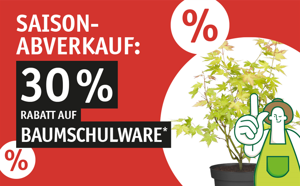 SAISON-ABVERKAUF! - 30 % Rabatt auf Baumschulware!