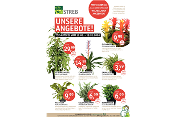 Unsere Angebote vom 12.01.-18.01.2026