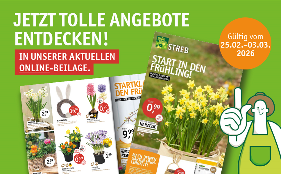 START IN DEN FRüHLING! - Jetzt tolle Angebote in unserer aktuellen Beilage entdecken!