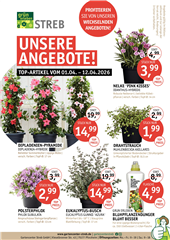 Unsere Angebote vom 01.04.-12.04.2026