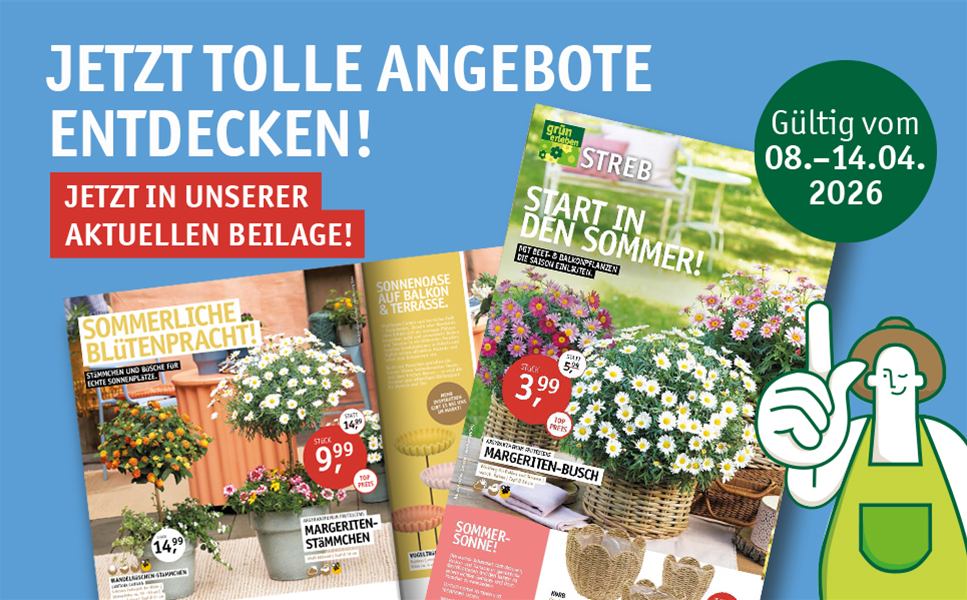 08.04. - 14.04.2026 - START IN DEN SOMMER!