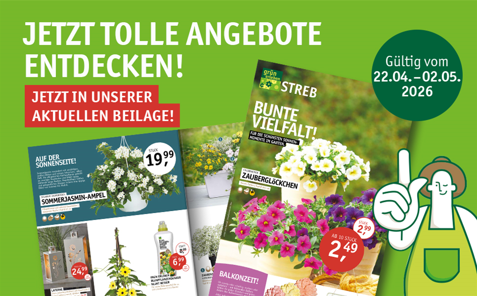 Unsere Beilage vom 22.04.-02.05.2026 - Bunte Vielfalt!