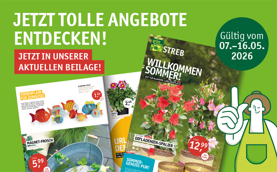 Zeit für blühende Lieblingsplätze. - Willkommen Sommer!