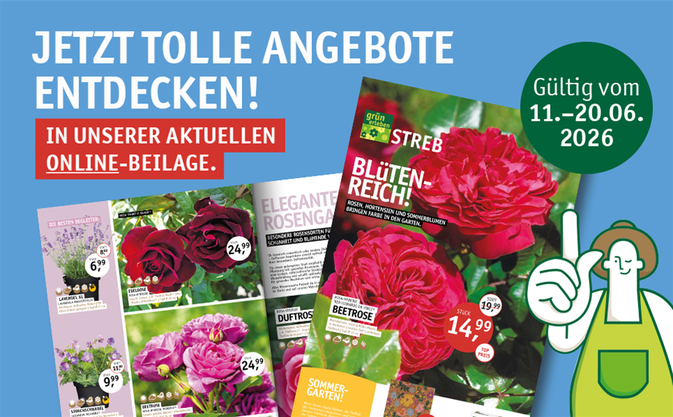 11.06. - 20.06.2026 - BLüTENREICH!