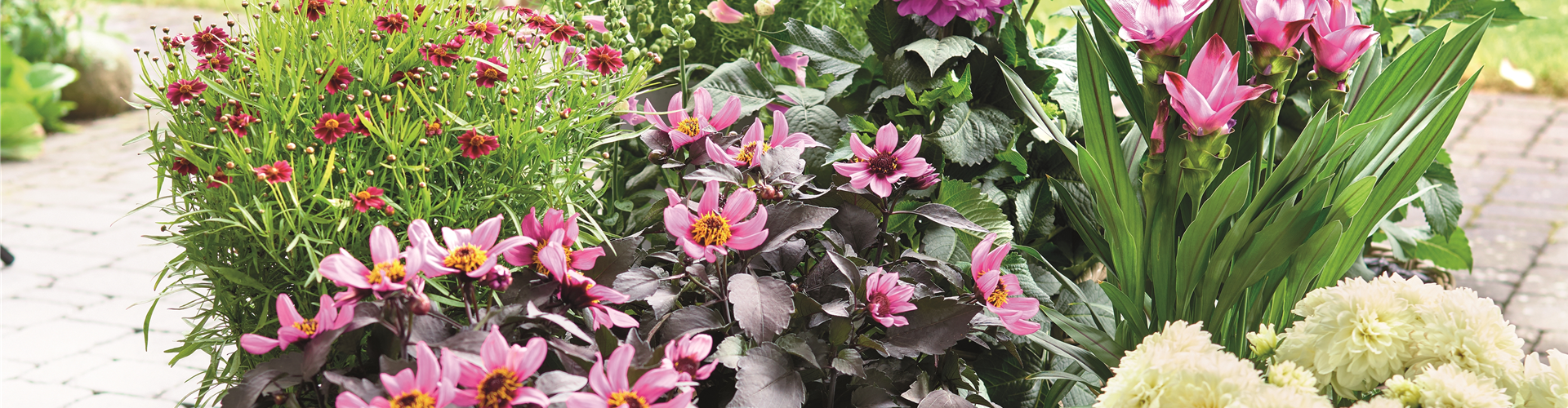 BLÜHENDER GARTEN! AUSDAUERNDE STAUDEN FÜR TERRASSEN UND BEETE. 