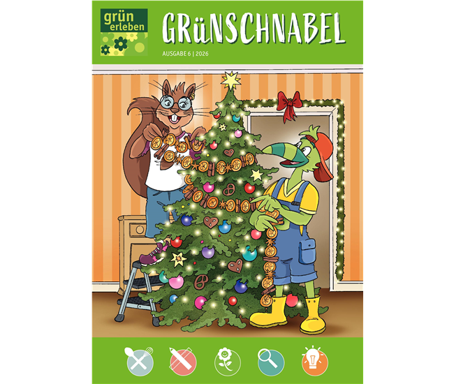 Ausgabe 6 2026