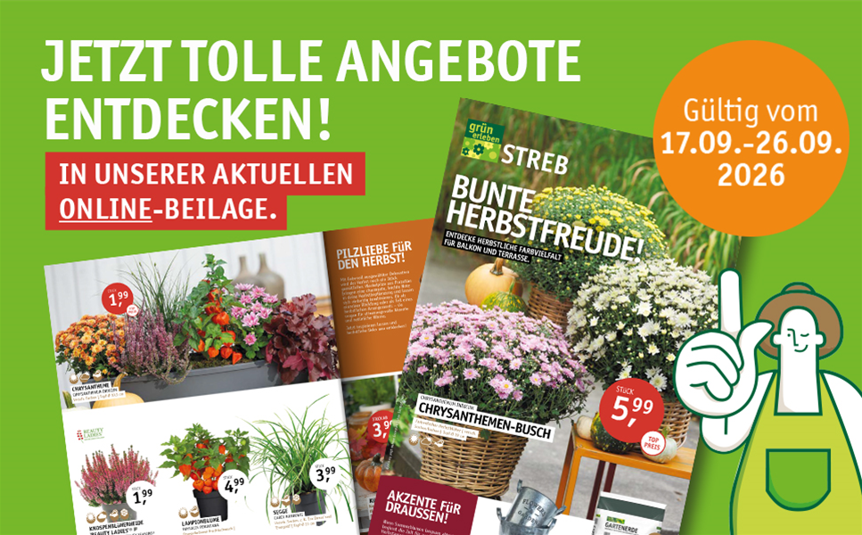 17.09. - 26.09.2026 - BUNTE HERBSTFREUDE!