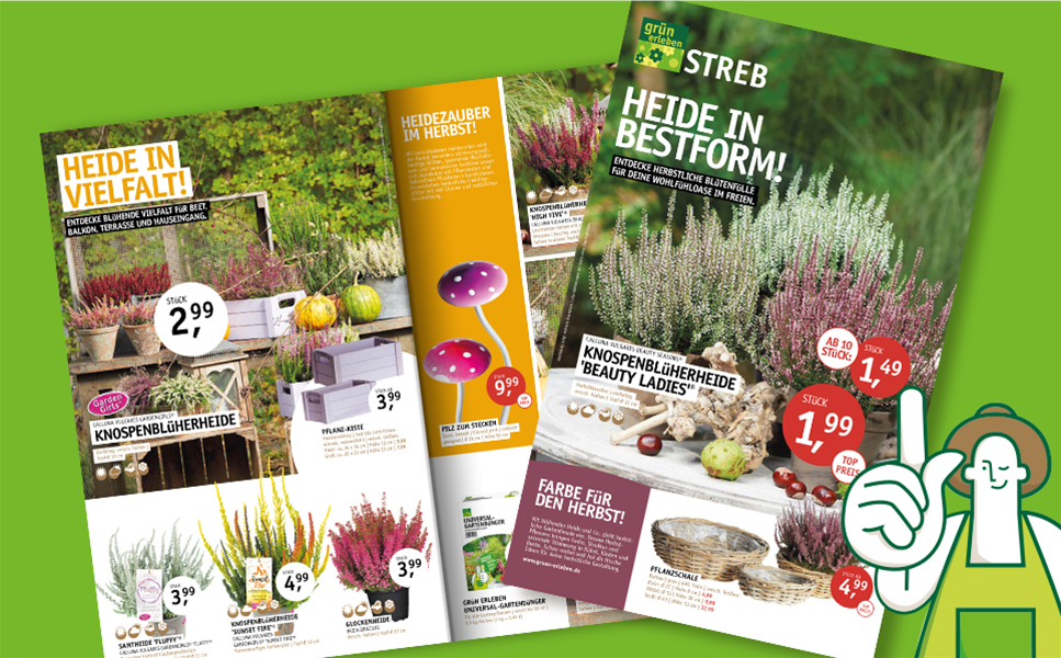 Unsere Beilage vom 01.10. bis 10.10.2026 - HEIDE IN BESTFORM!